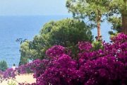 Foto House beach in Cala Salions