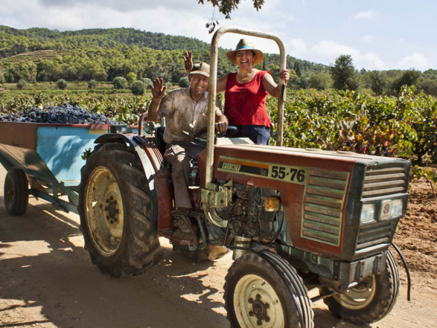 Tour i tast de vins de l'pagès