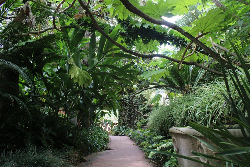 Marimurtra botanical gardens